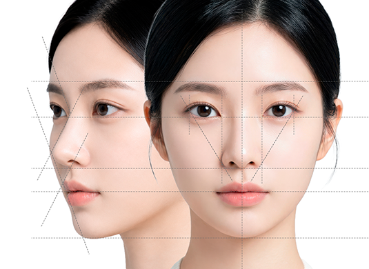 3D 프로필 입체 맞춤 디자인